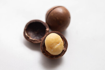macadamia nut close up