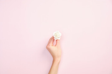 Female hand holding roses flower bud on pastel pink background. Hand skin care, moisturizing concept. Flat lay, top view.