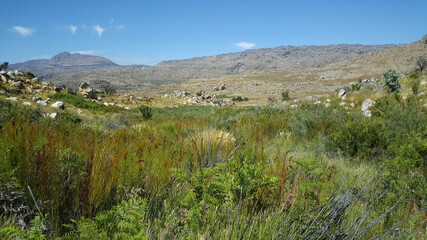 Scenery at Cederberg Wilderness Area