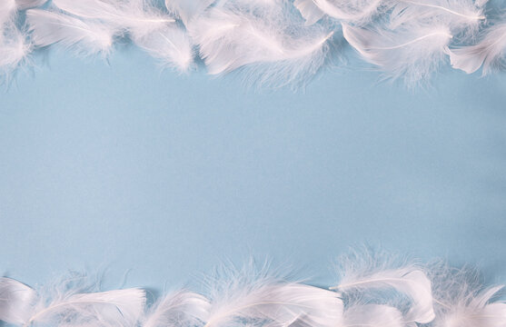 white feathers on a blue background with place for text. Light delicate background