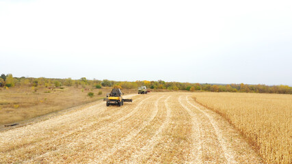 Naklejka premium Aerial view of harvesters working on farm at autumn day. Flying over two combines driving to gather corn crop. Scenic countryside landscape at background. Harvesting or agronomy concept