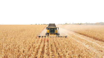 Fototapeta premium Aerial shot of harvester gathering corn crop in farmland. Flying over combine working on farm during harvesting. Beautiful countryside landscape with large field at background. Top view