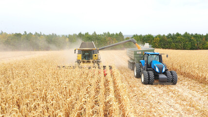 Aerial shot of combine loading off corn grains into tractor trailer. Agricultural machines working...
