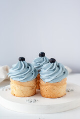 Three cupcakes with light blue cream and blueberries on a white plate
