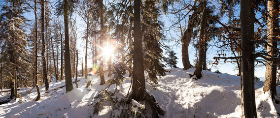 Winter panorama from Kocheler Sonnenspitz mountain in Bavaria, Germany