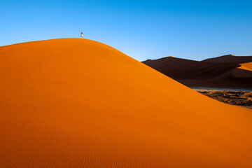Fototapeta na wymiar Orand dunes and blue skies