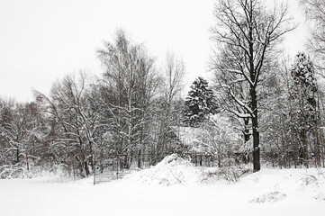 Fototapeta na wymiar Winter landscape. Village, settlement in winter. Winter sketch