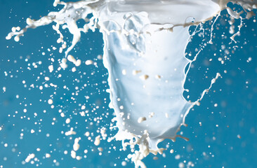 Splashes of white milk isolated on a blue background.
