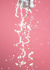 Splashes of white milk on a pink background.