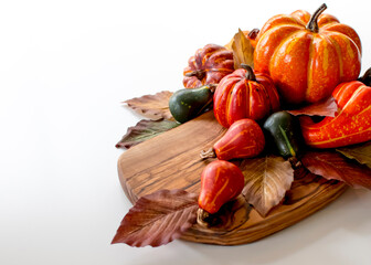 Fall Pumpkins and Gourds
