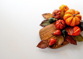 Fall Pumpkins and Gourds