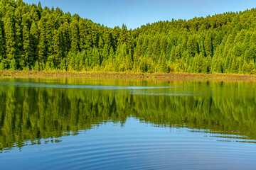 Lagoa in São Miguel - Azores 