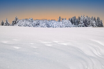Fototapeta na wymiar Winterpanorama mit Wald, Hintergrunddesign Weihnachtskarte, Schneelandschaft, Hintergrunddesign, Headergeeignet