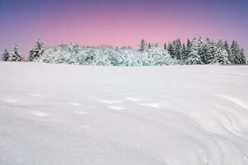 Winterpanorama mit Wald, Hintergrunddesign Weihnachtskarte, Schneelandschaft, Hintergrunddesign, Headergeeignet