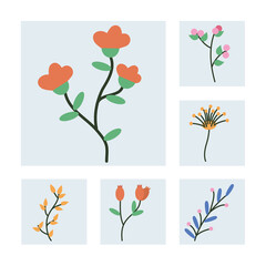 flowers and tropical leaves icon set, half line half color style