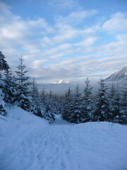 Fototapeta premium Mountain panorama in Bavarian Alps, in wintertime