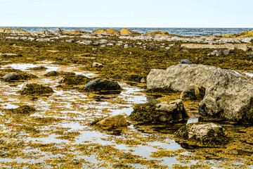 St. Lawrence Seaway and rocky beach of Green Point. Gros Morne National Park, Newfoundland, Canada