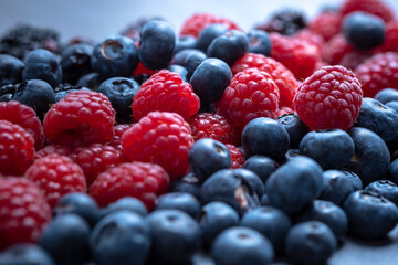berries mix on an abstract gray background