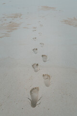 Footsteps on golden sand, walking man thinking about his future. a nice walk and a golden sunset.