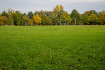 Lush green field with view to autumn woodland