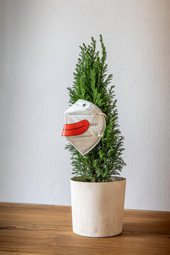 Kleiner Weihnachtsbaum mit Mund- Nasen- Schutz Maske und Gesicht