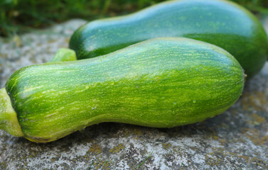 Two butternut squash. Outside. Selective focus.