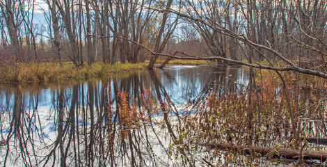 Obraz premium Wolf Creek, Kanarr Road, Alpena County, Michigan