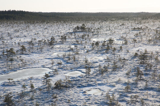 Aerial view to the Estonian peat bog scenery with the fresh snow and ice - Powered by Adobe