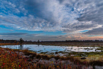 Moorlandschaft im Herbst.