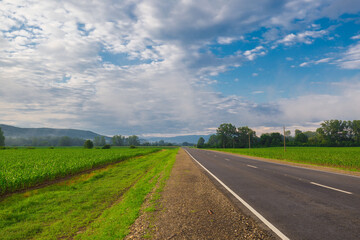 Field and road. Sunrise landscape, summer