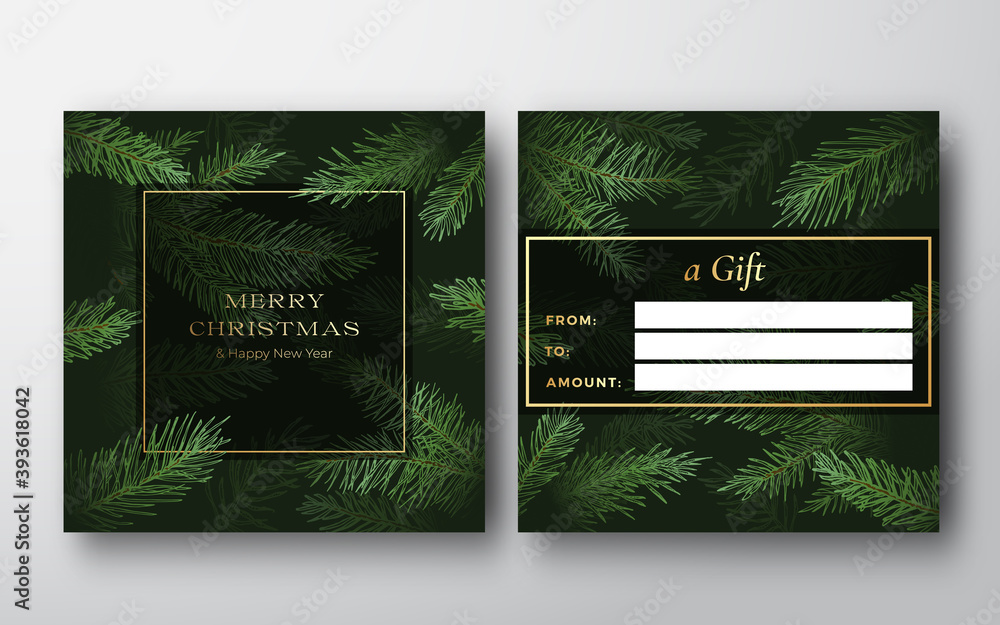 Canvas Prints new year and christmas abstract vector greeting gift card background. back and front design layout w