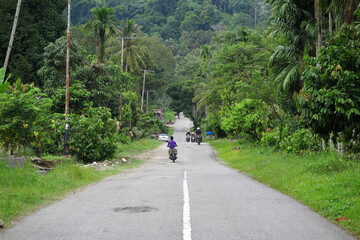 Obraz premium Jungle road in Sumatra, Indonesia 