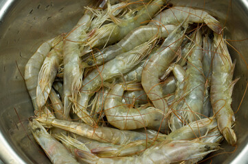 Fresh white tiger prawns texture of natural seafood