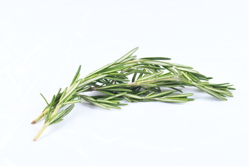 Sprig of rosemary, and evergreen aromatic herb, on white, high-key background, with bright exposure.