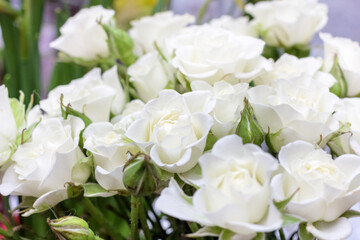 Obraz na płótnie Canvas Bouquet of white roses for best mood