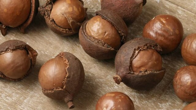 Whole macadamia and peeled nuts in a row close up