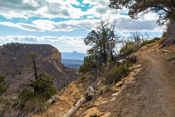 Fototapeta na wymiar Point Lookout Trail, Mesa Verde National Park, Colorado 
