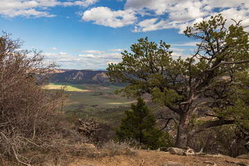View from Point Lookout Trail, Mesa Verde National Park, Colorado
