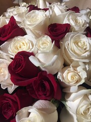 bouquet of roses