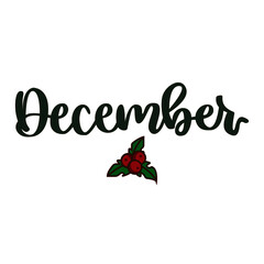 merry christmas lettering, december lettering, vector handwtitten text, christmas, decor