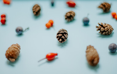Small pine cones with blue and red winter berries composition on a pastel blue background Christmas background