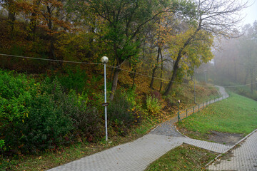 Colorful forest in the autumn fog in the forest path