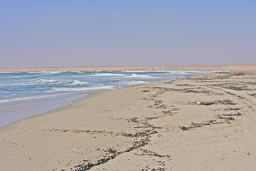 Namibian Coast, near Cape Cross, Namibia