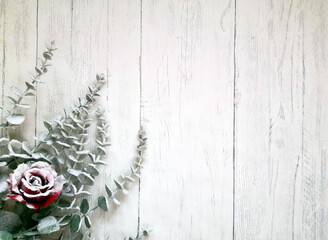 Flocked eucalyptus branches and red rose on white wooden surface shot from above. Top view, flat...