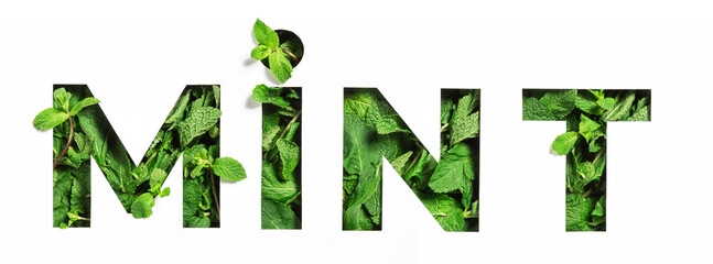 Lettering of English word mint of green natural leaves and cut paper isolated on white. Menthol typeface for decoration