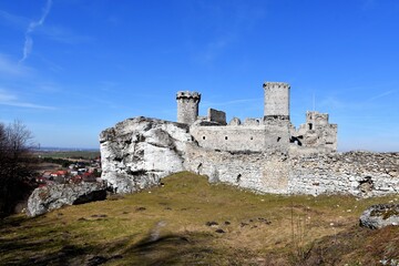 Zamek Ogrodzieniec na Podzamczu, Orle Gniazdo na Jurze Krakowsko- Częstochowskiej © Albin Marciniak