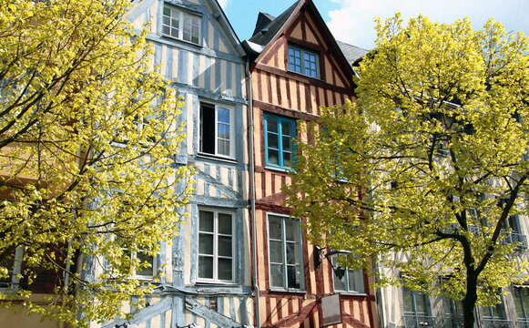 Ville de Rouen, façades colorées et maisons à colombages du centre historique, arbres en premier plan, département de Seine-Maritime, France	