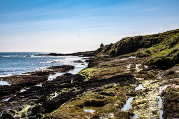 The rocky West Cork coastline with the sunseting and boulders covered in Irish sea moss. The seven heads cliffs are popular with hikers and hill walkers.