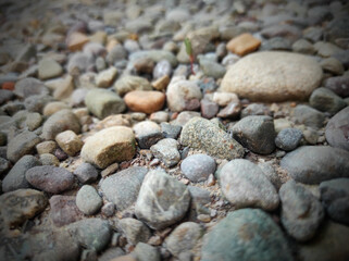 pebbles on the beach, stones on sand 