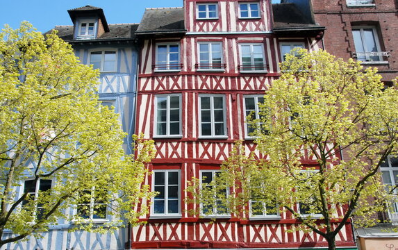 Ville de Rouen, façades colorées des maisons à colombages du centre historique, arbres en premier plan, département de Seine-Maritime, France